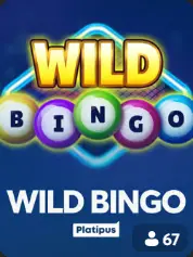Wild Bingo BC Game Australia game cover