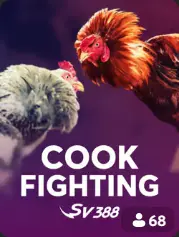 Cock Fighting BC Game Australia game cover